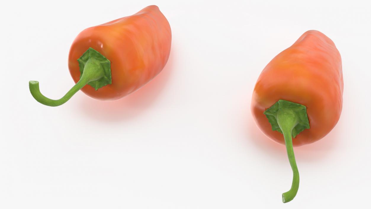 Hot Pepper Orange 3D