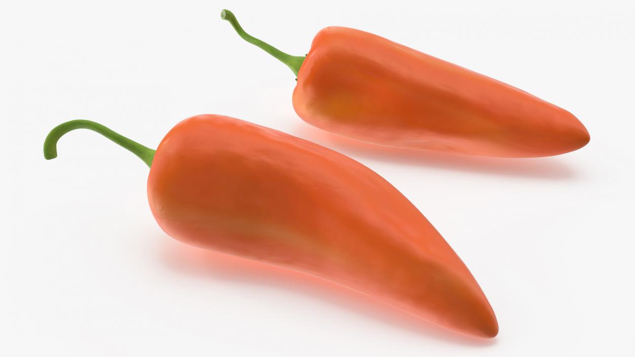 Hot Pepper Orange 3D