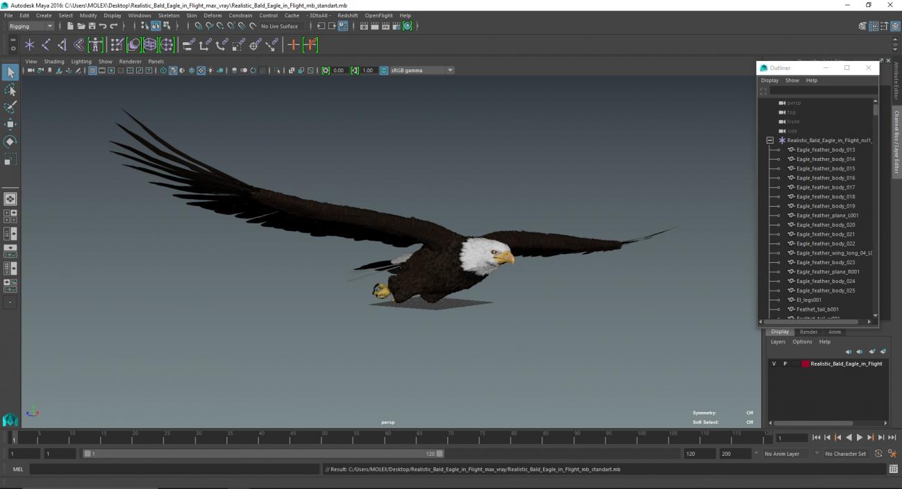 3D model Realistic Bald Eagle in Flight