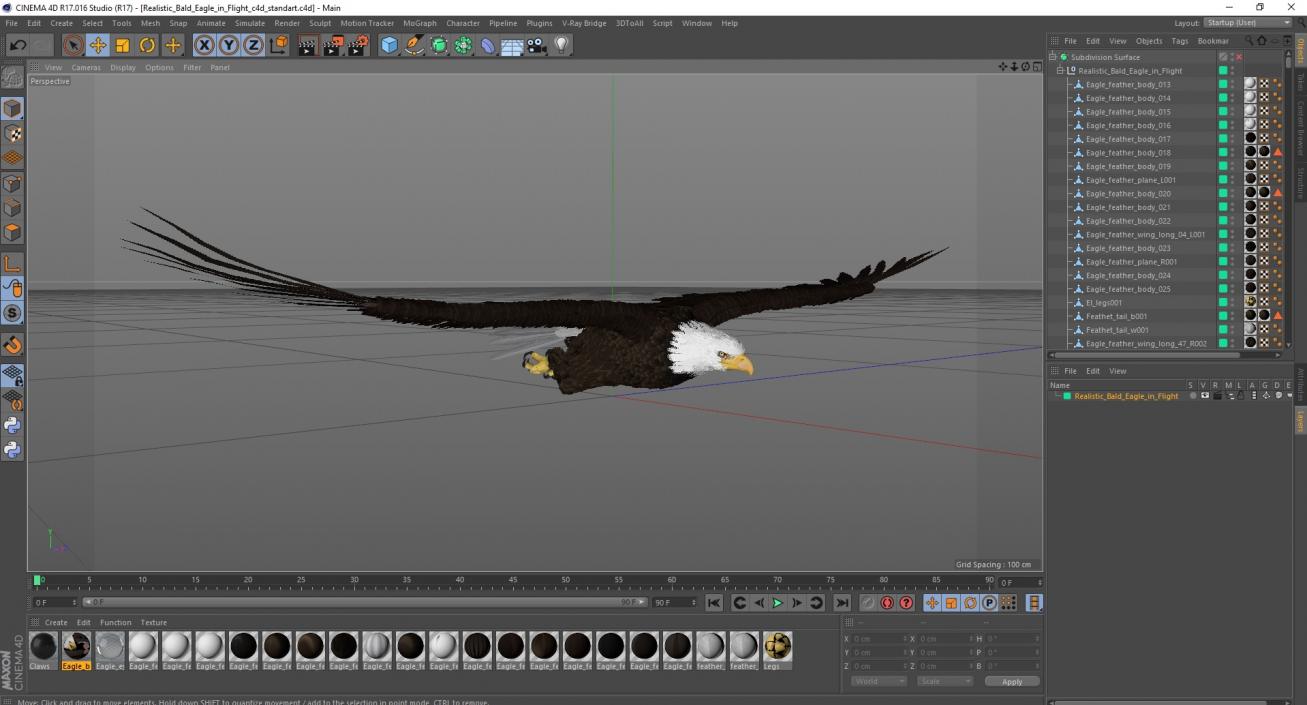 3D model Realistic Bald Eagle in Flight