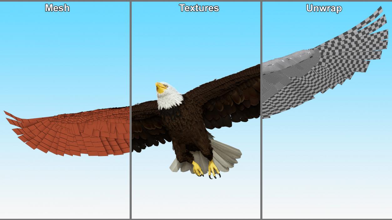 3D model Realistic Bald Eagle in Flight