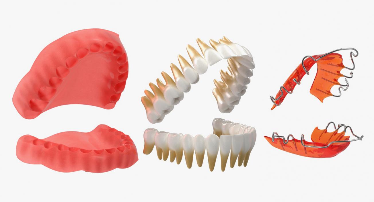 3D model Typodont Tooth Orthodontic Retainer