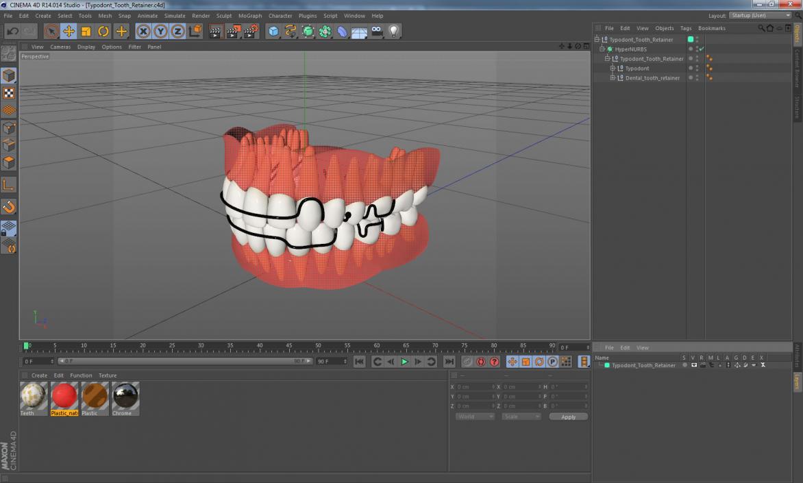 3D model Typodont Tooth Orthodontic Retainer