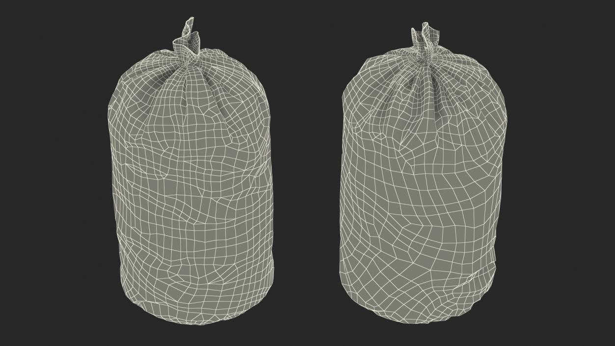 3D model Tied Closed Big Blue Trash Bag