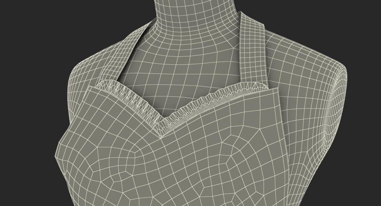 Retro Kitchen Apron on Mannequin 3D