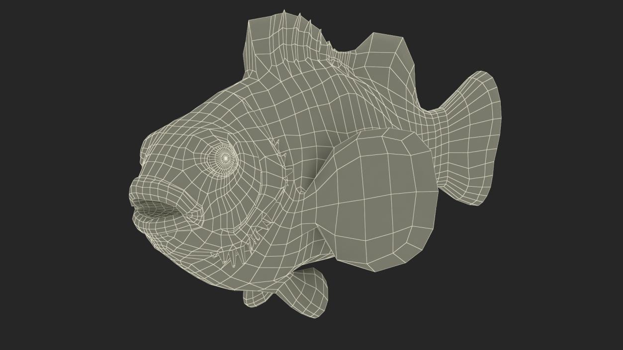 3D Realistic Clownfish Rigged