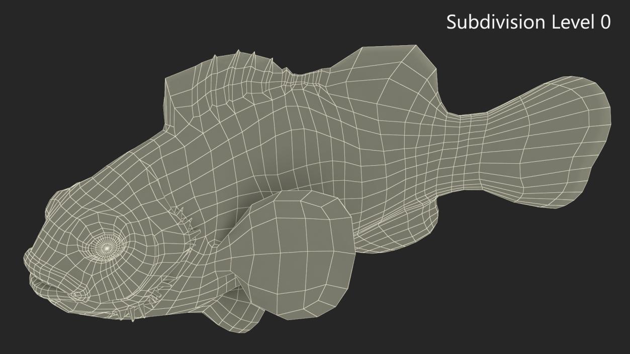 3D Realistic Clownfish Rigged