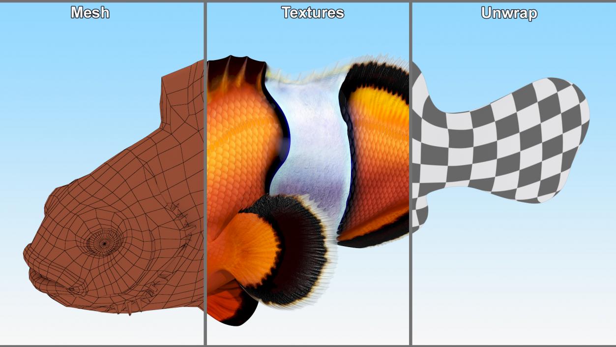 3D Realistic Clownfish Rigged