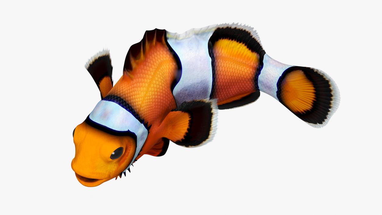 3D Realistic Clownfish Rigged