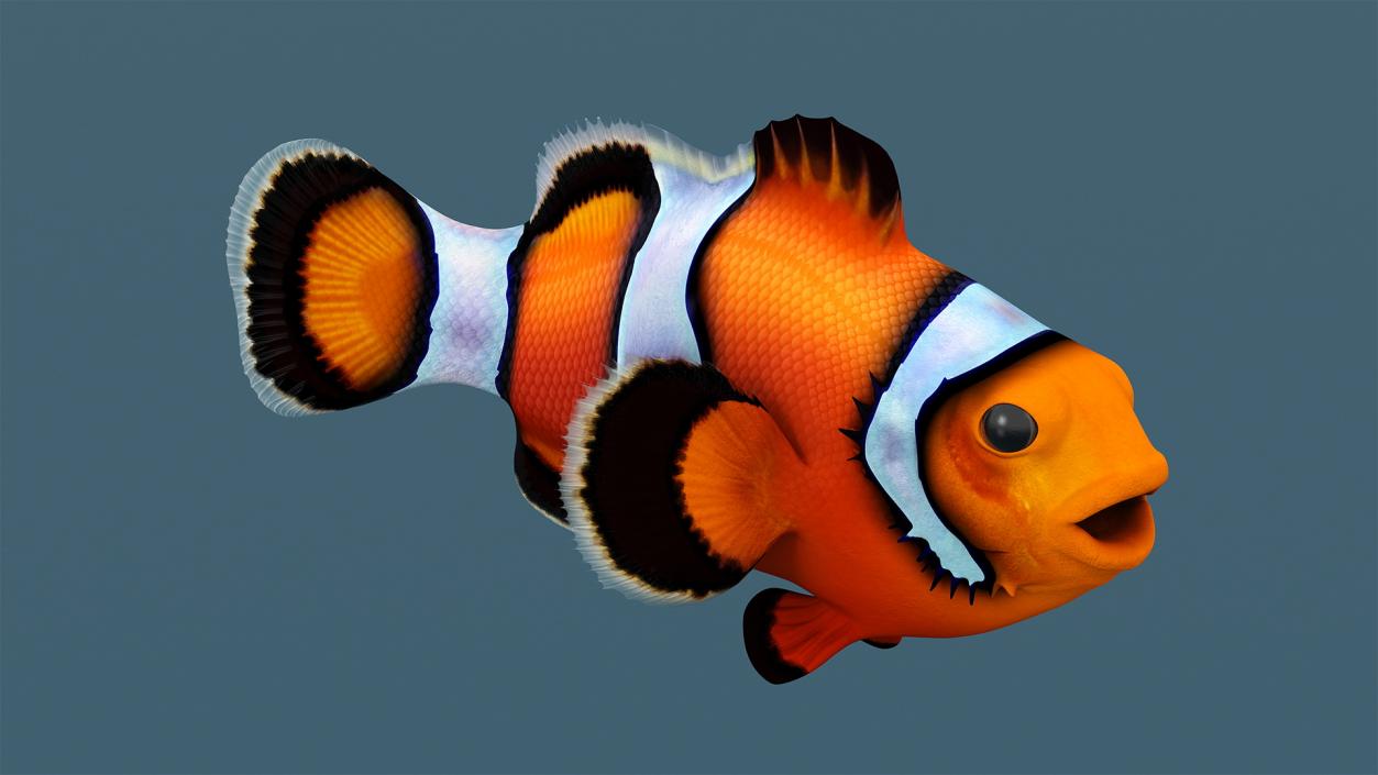 3D Realistic Clownfish Rigged