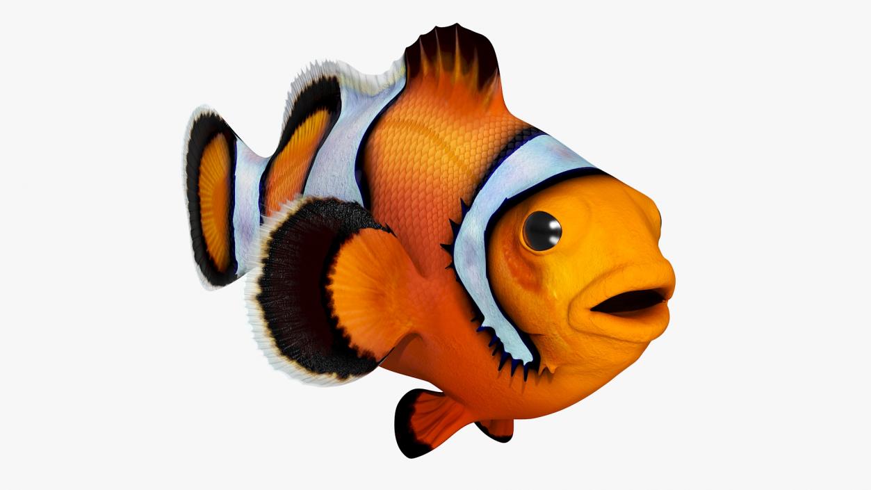 3D Realistic Clownfish Rigged