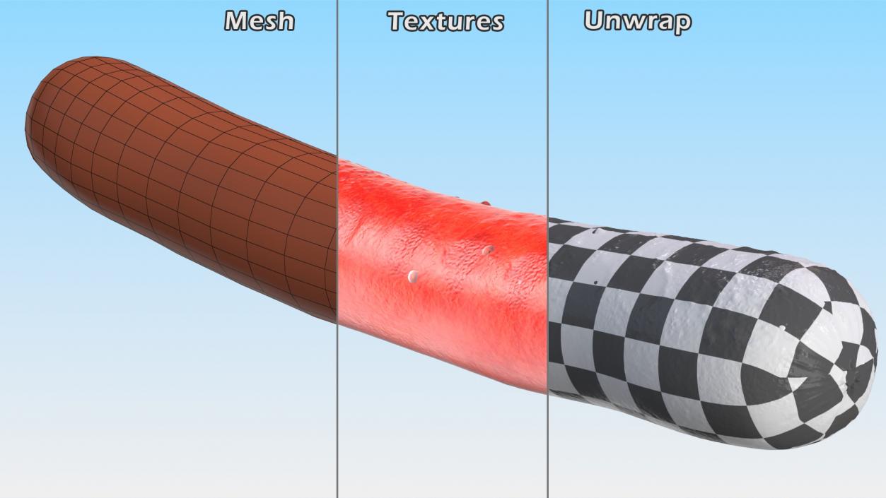 3D Fried Sausage model