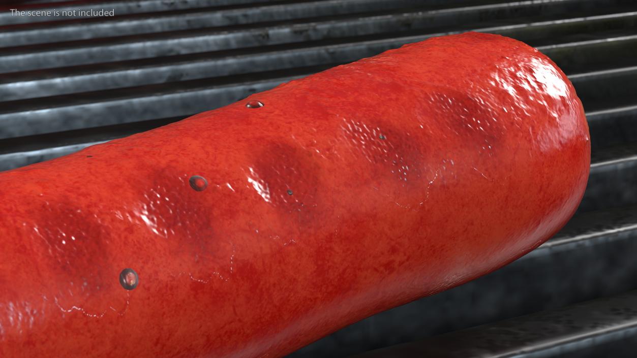 3D Fried Sausage model