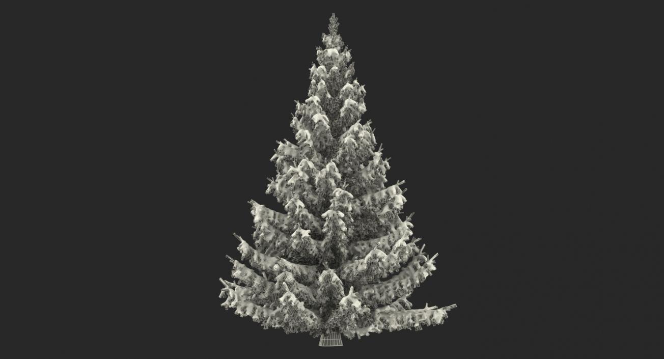 Norway Spruce in Heavy Snow 3D