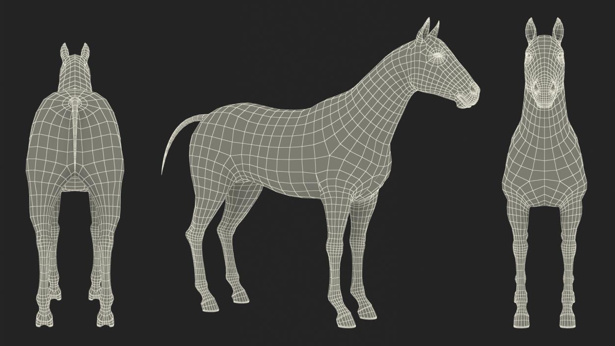 Bay Horse 3D model