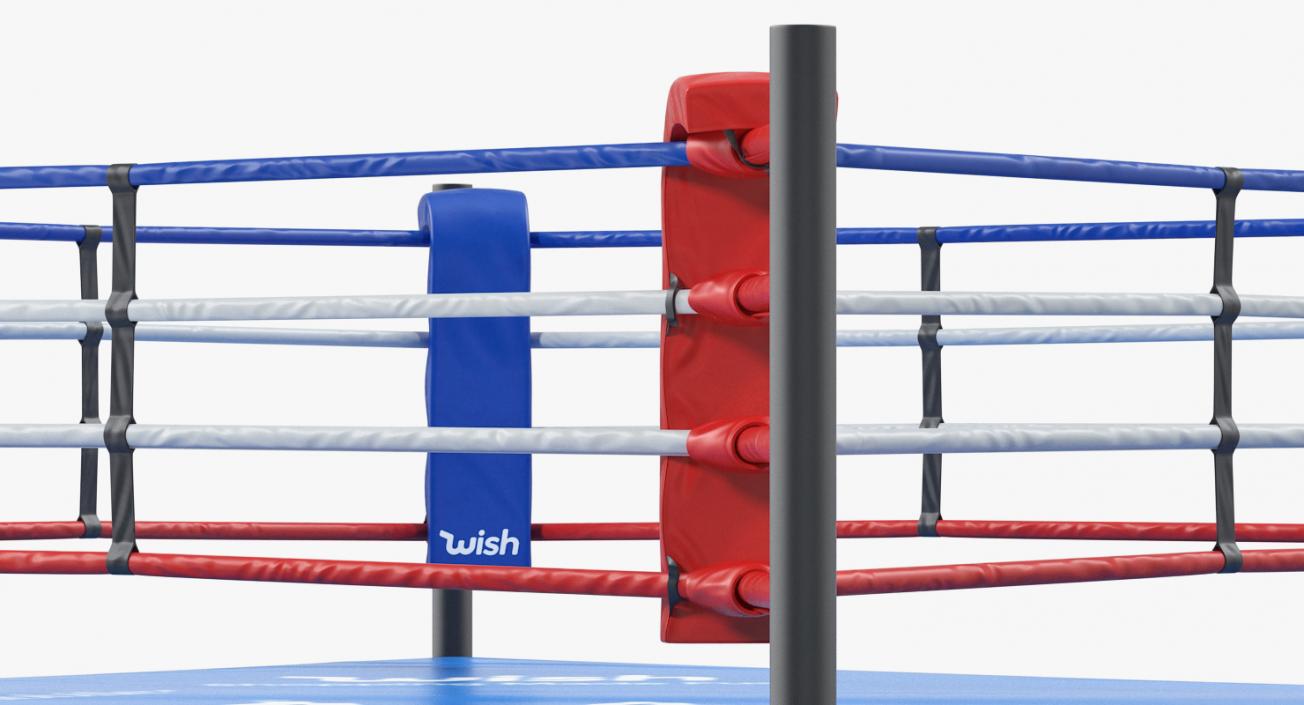 3D Boxing Ring