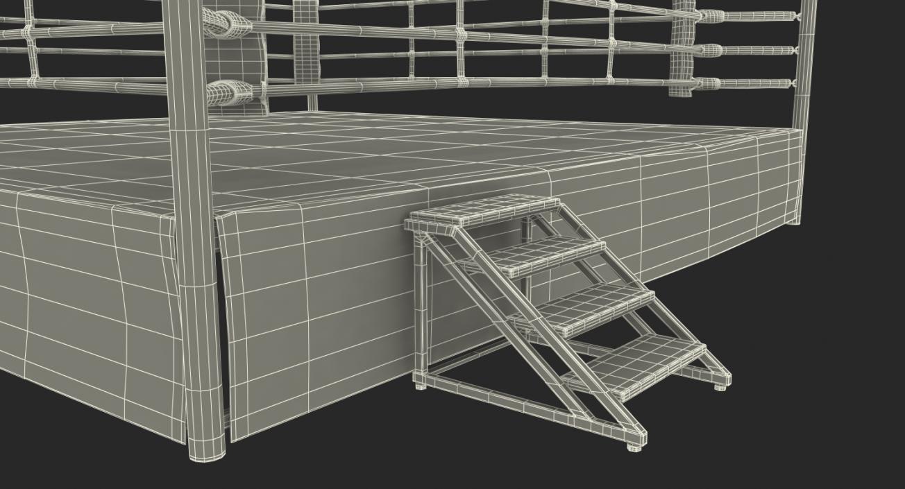 3D Boxing Ring