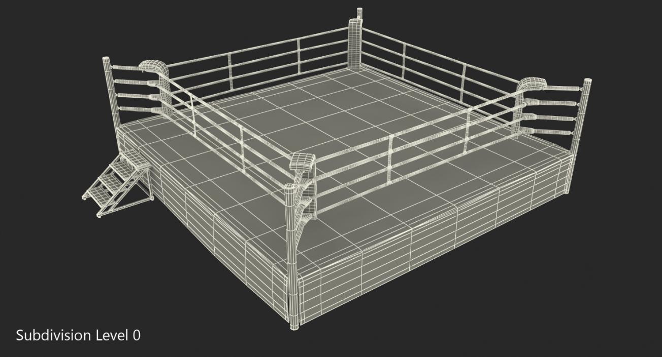 3D Boxing Ring