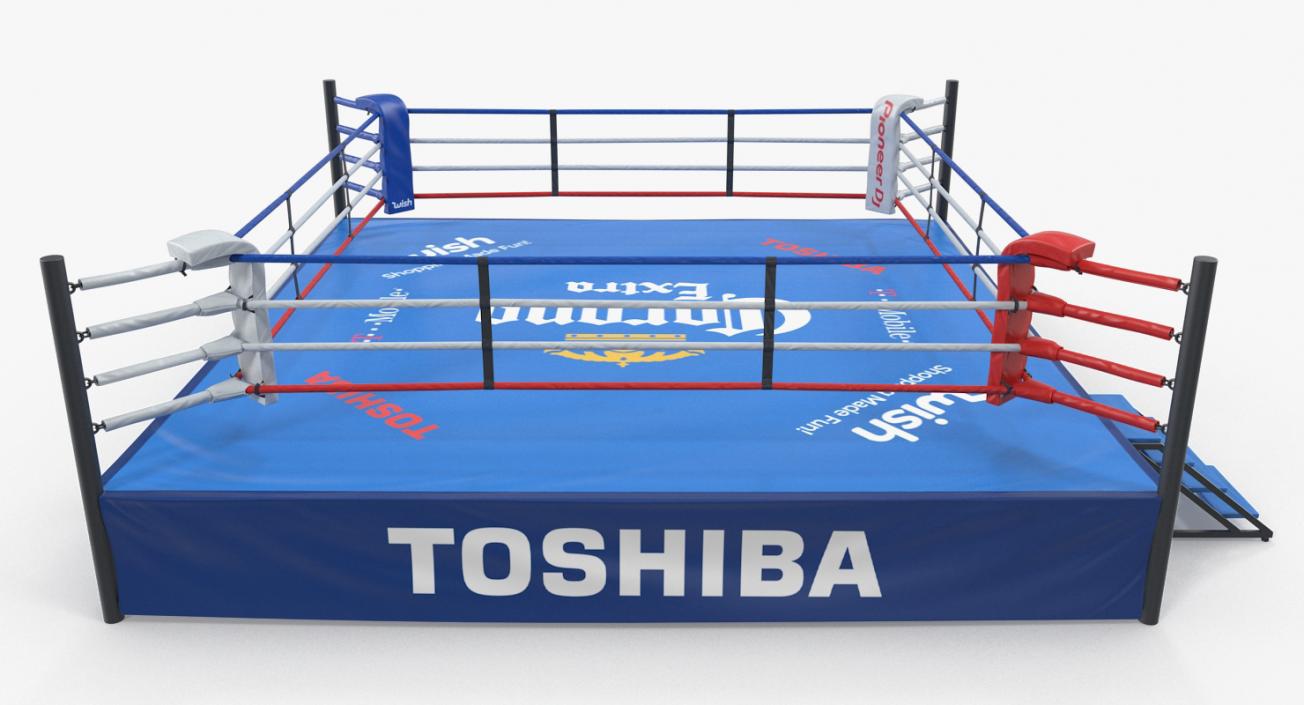 3D Boxing Ring