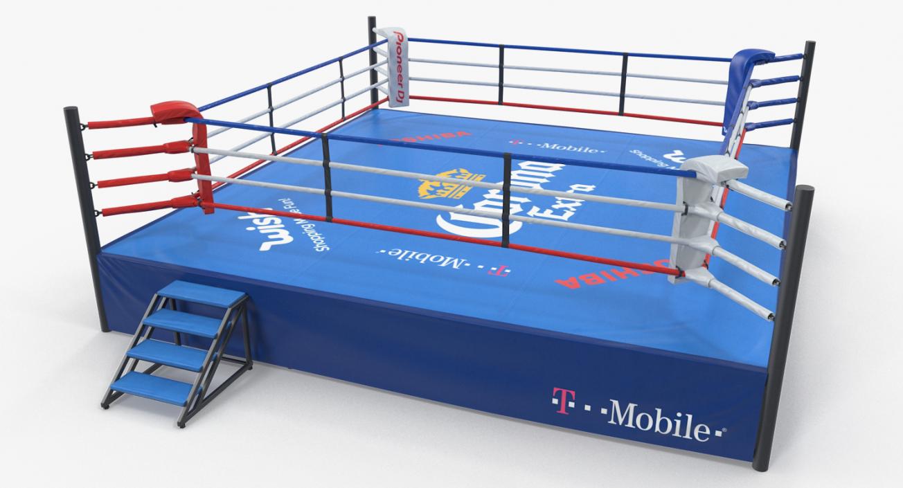 3D Boxing Ring