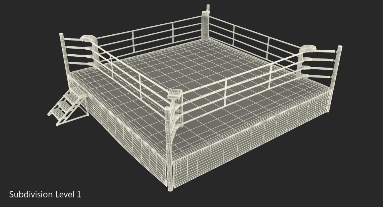 3D Boxing Ring