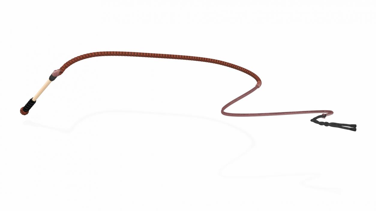 3D Leather Whip Braided Brown Rigged model