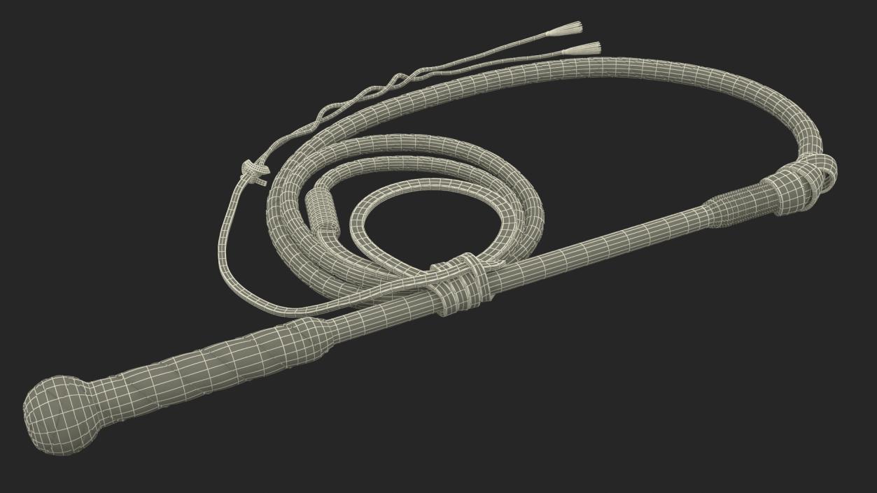 3D Leather Whip Braided Brown Rigged model