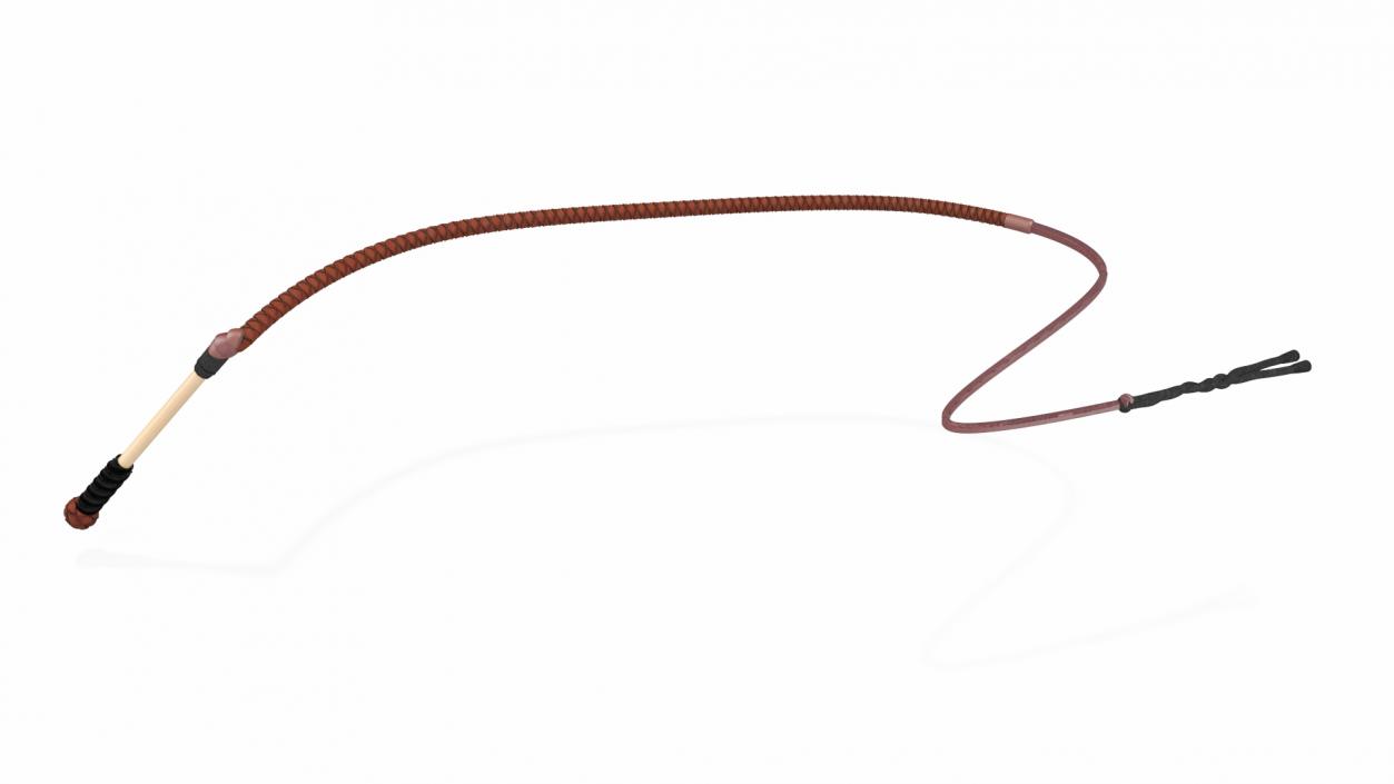 3D Leather Whip Braided Brown Rigged model