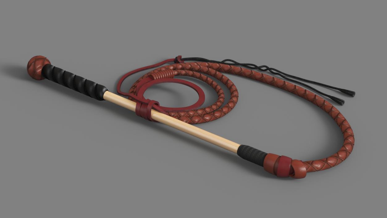 3D Leather Whip Braided Brown Rigged model