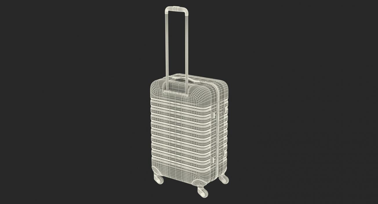 Suitcases Collection 5 3D