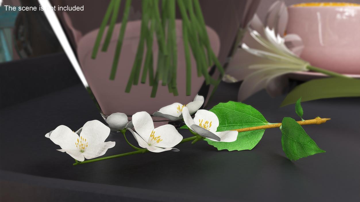 Jasmine Branch with Flowers 3D