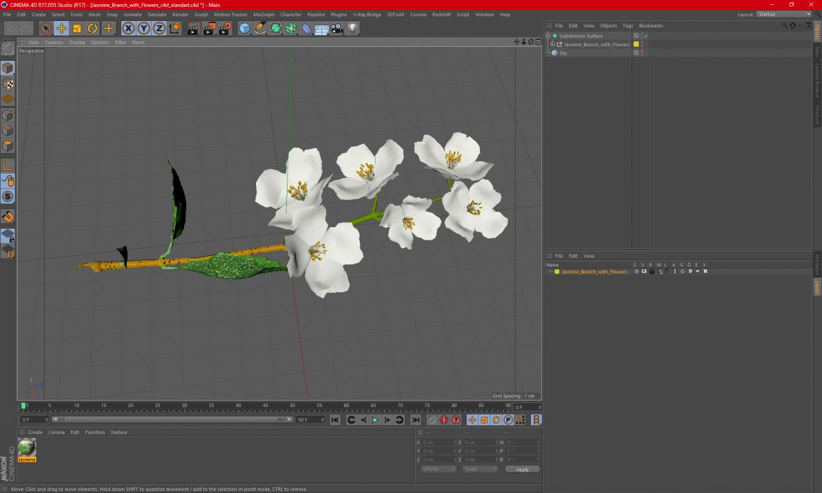 Jasmine Branch with Flowers 3D