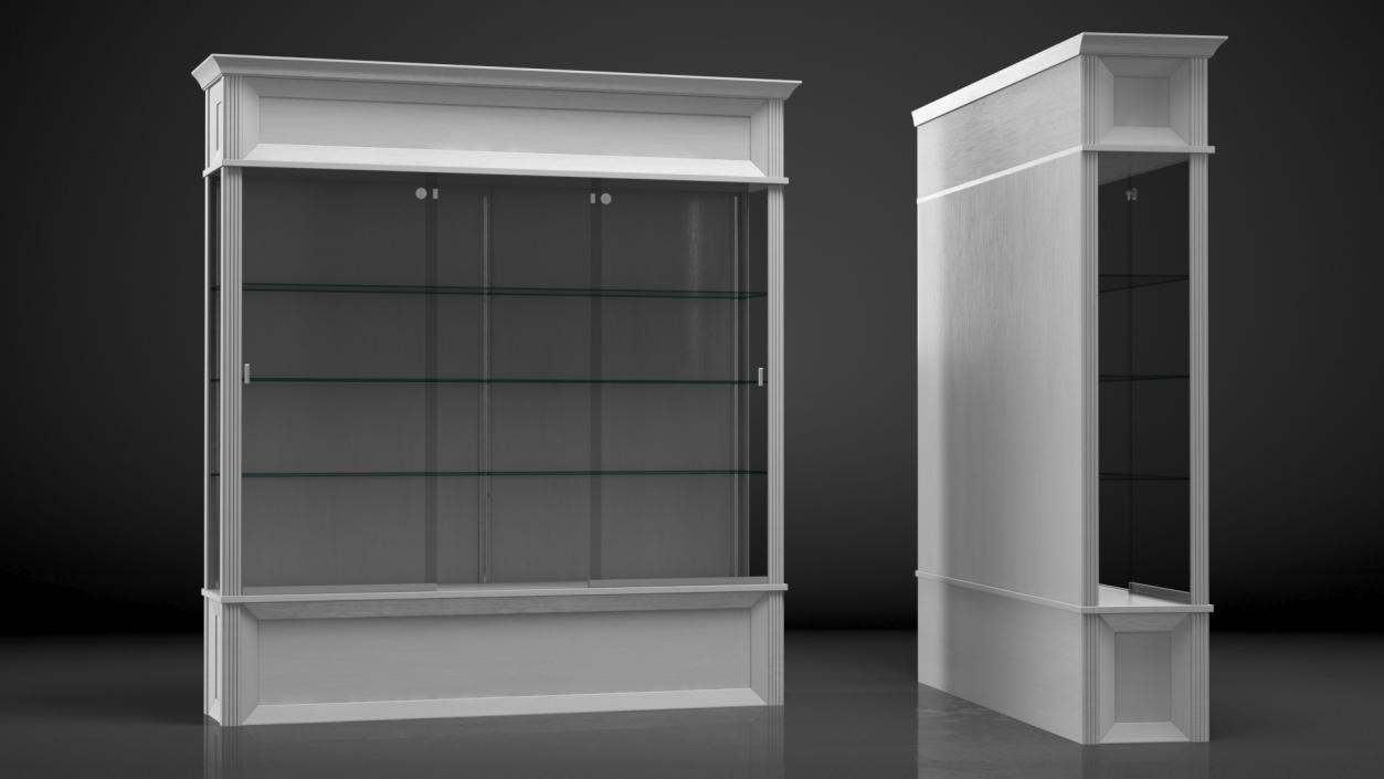 3D model Trophy Display Case White