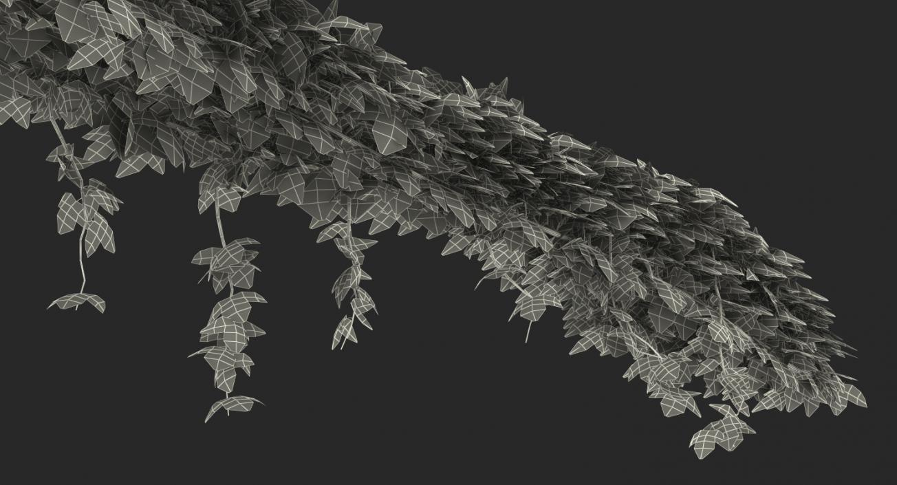 Ivy Shrub 3D model