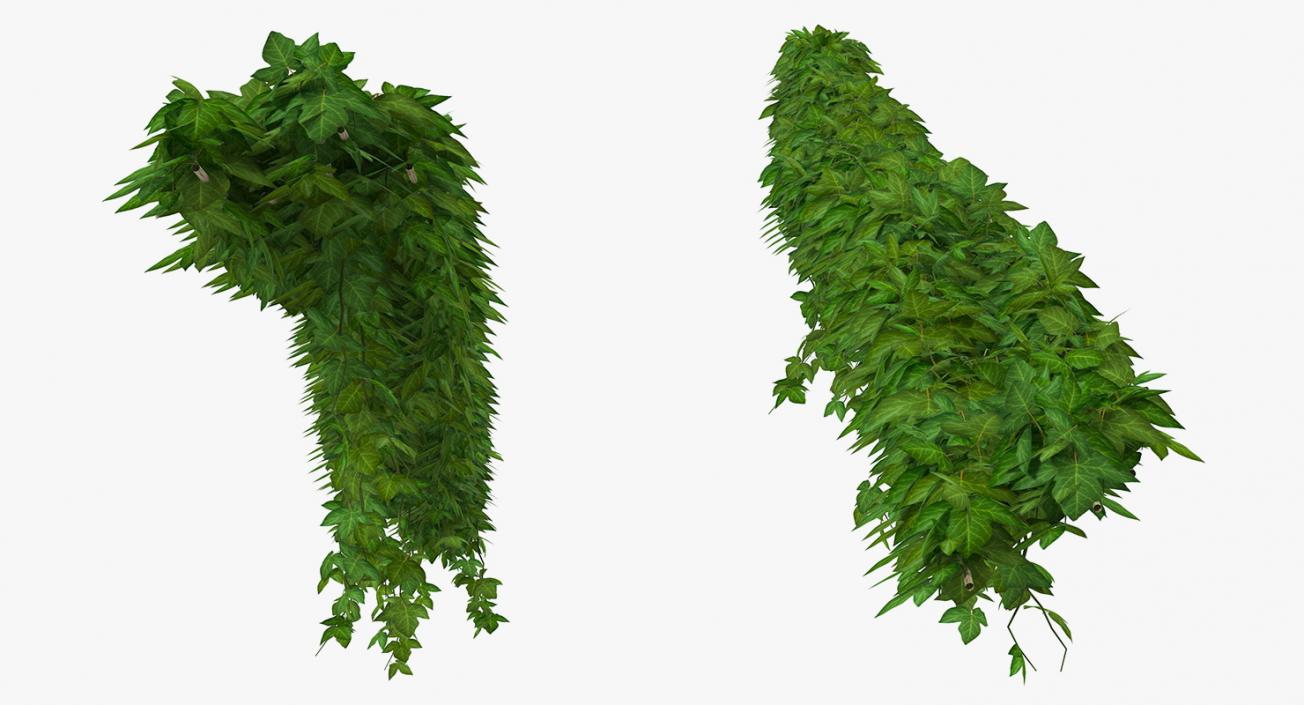 Ivy Shrub 3D model