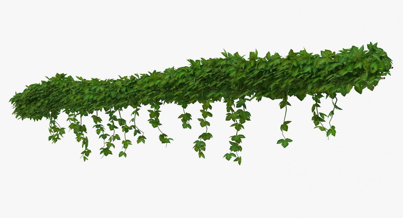 Ivy Shrub 3D model