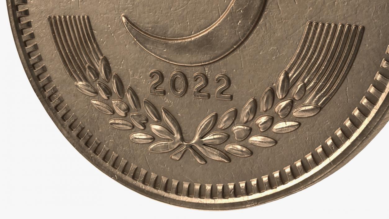 2 Pakistan Rupees Bronze 3D model