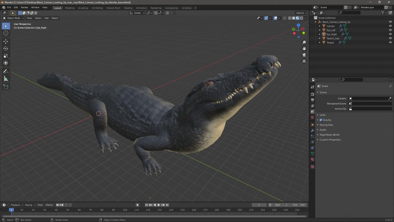 3D Black Caiman Looking Up model