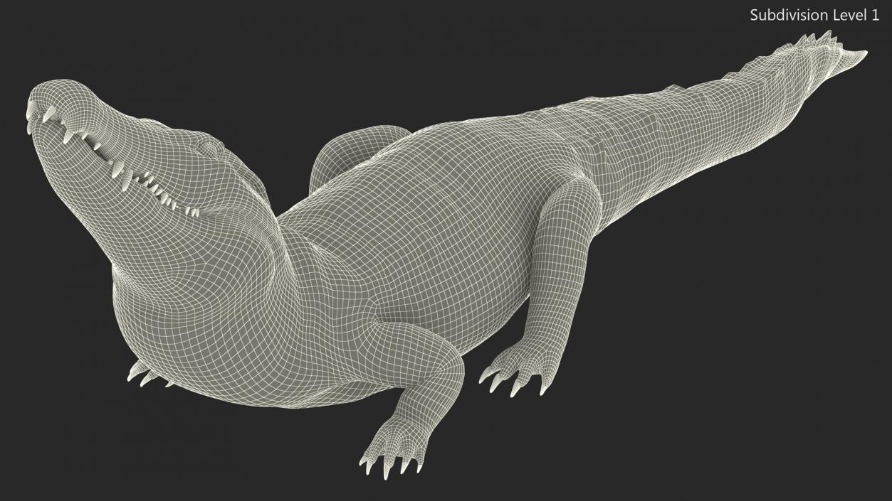 3D Black Caiman Looking Up model