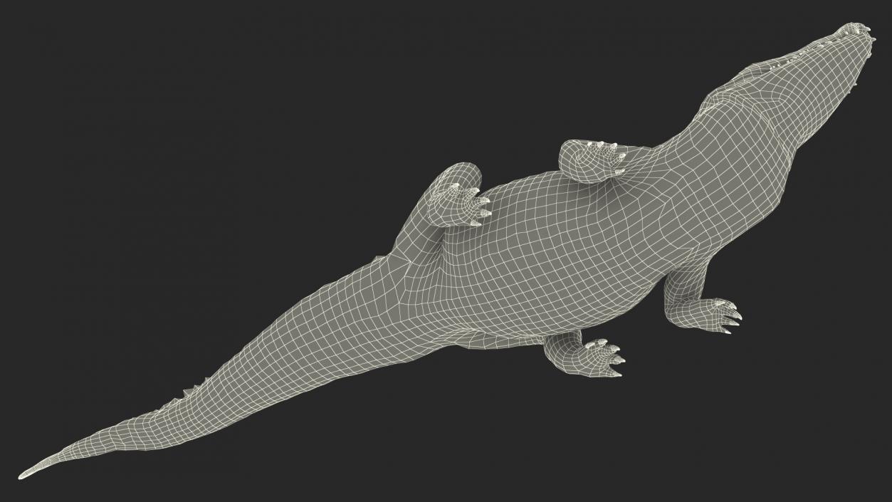 3D Black Caiman Looking Up model