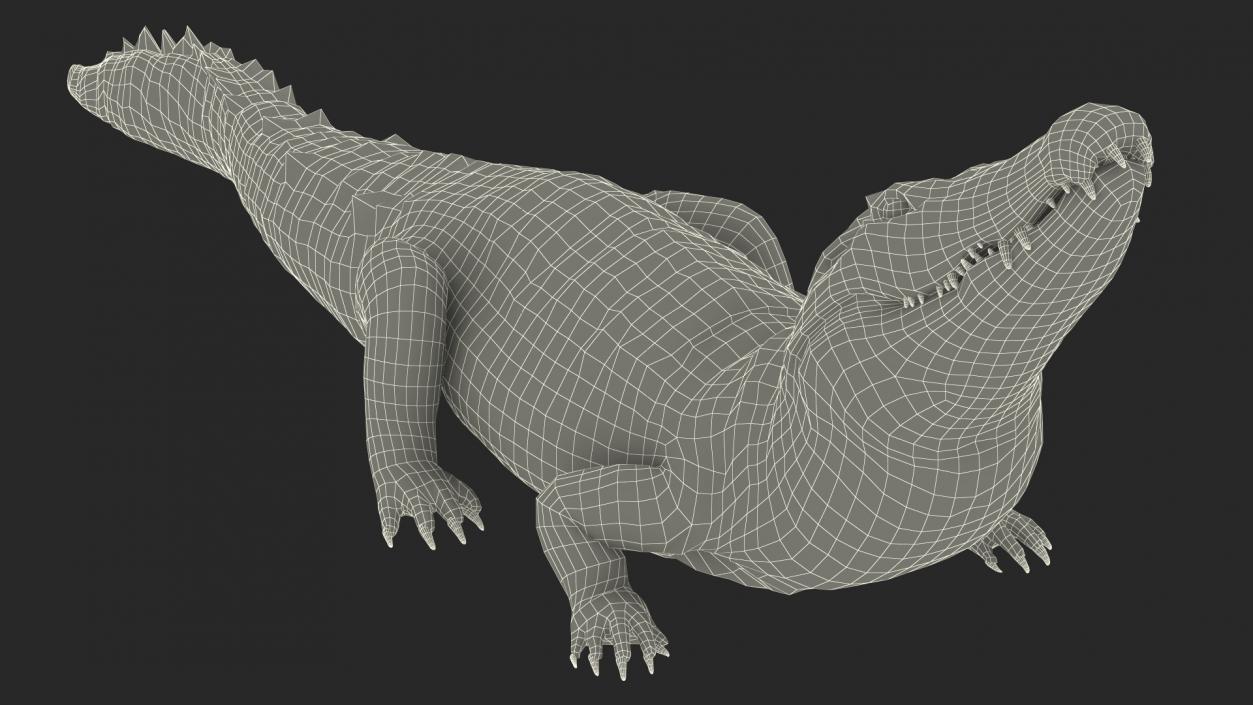 3D Black Caiman Looking Up model