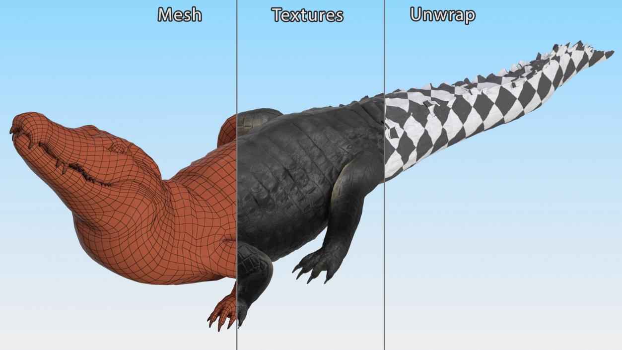 3D Black Caiman Looking Up model