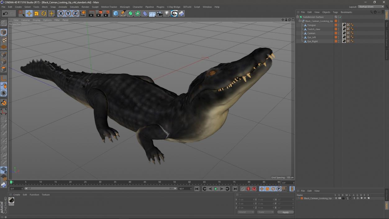 3D Black Caiman Looking Up model