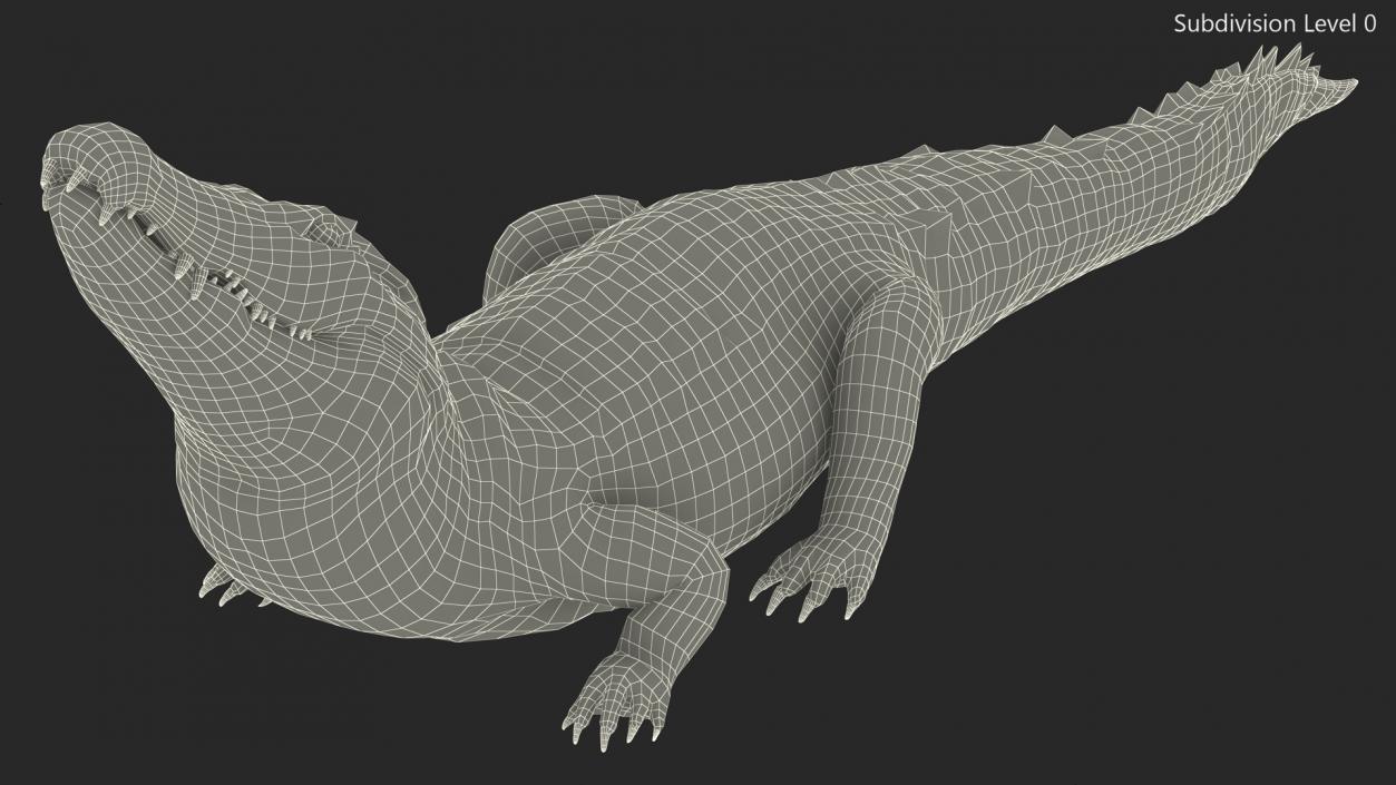 3D Black Caiman Looking Up model