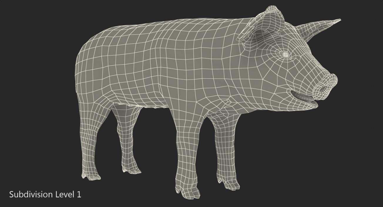 3D model Pig Piglet Pietrain with Fur Rigged