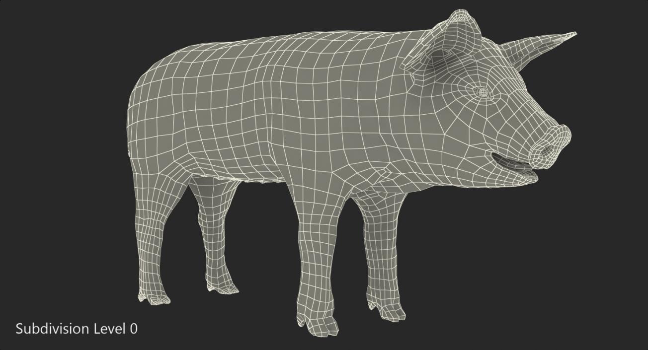 3D model Pig Piglet Pietrain with Fur Rigged