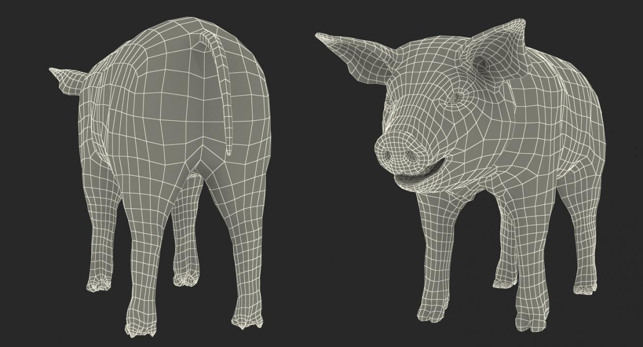 3D model Pig Piglet Pietrain with Fur Rigged