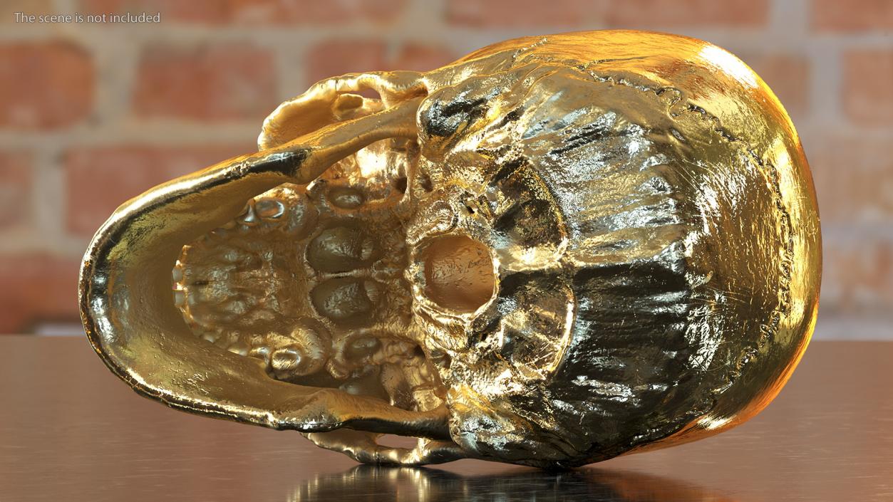 Female Human Skull Gold Metal 3D model