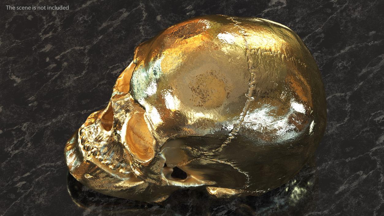 Female Human Skull Gold Metal 3D model