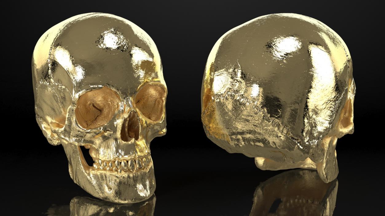 Female Human Skull Gold Metal 3D model